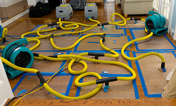Professional Basement Flood Cleanup technician working in Fruita, CO